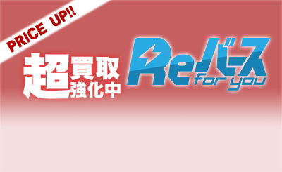 PP ビスマルクZwei（サイン入り） 買取 | アズールレーン vol.3 | Re