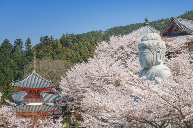 4月9日は大仏の日☆色んな日本の大仏さまや大きな観音さまを紹介