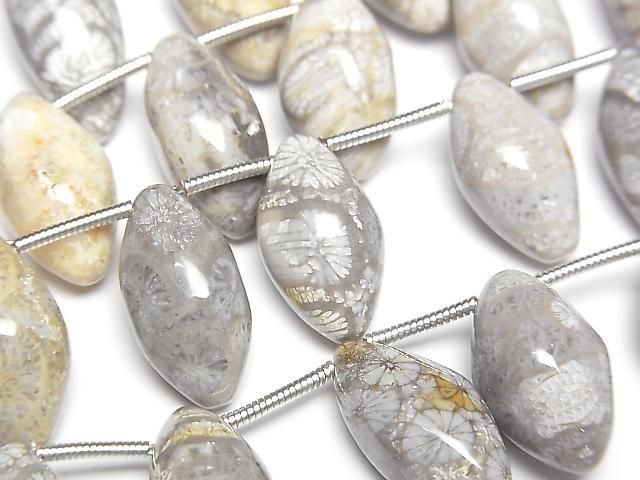 フォシルコーラル（化石珊瑚） マーキスライス（プレーン） 1連