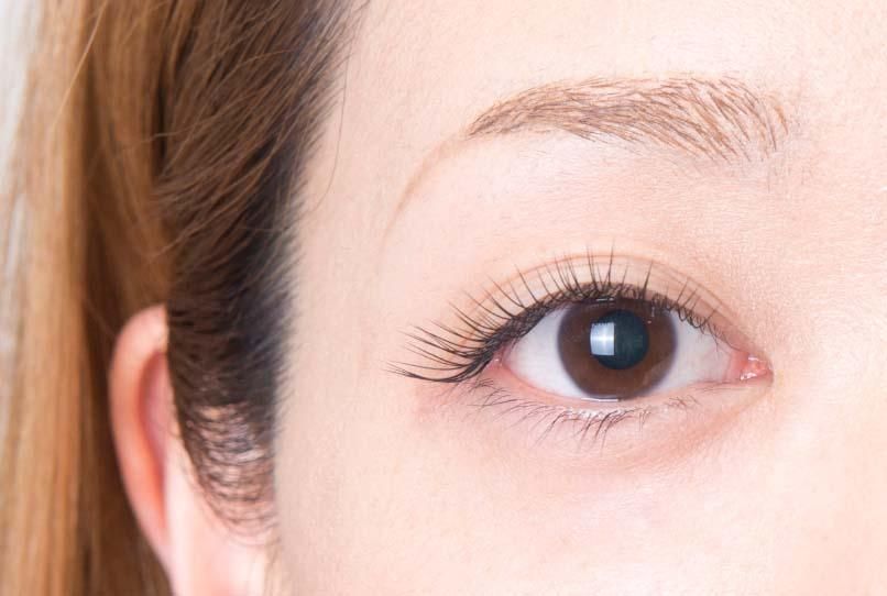 持続性が高い・ビューラー仕上げ Lカール｜ビュプロ