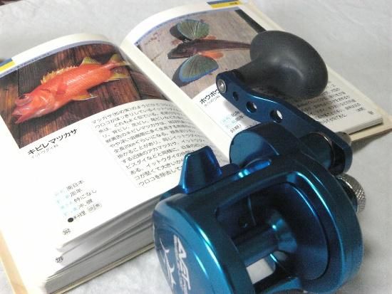 ベイトリール:ジギングと投げ釣り:MXL5.8 (G2)左ハンドル - アベット