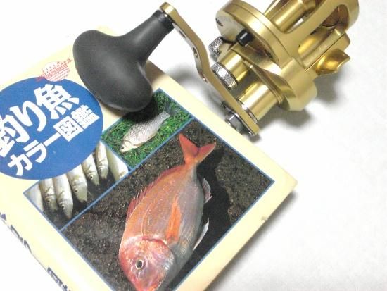 ベイトリール:ジギングと投げ釣り:SX6/4RAPTOR 右ハンドル - アベット