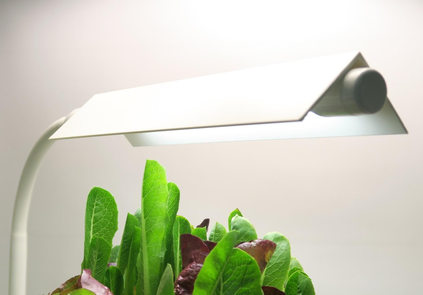 LEDスタンド｜リーフレタス等の 野菜やハーブの水耕栽培キット通販