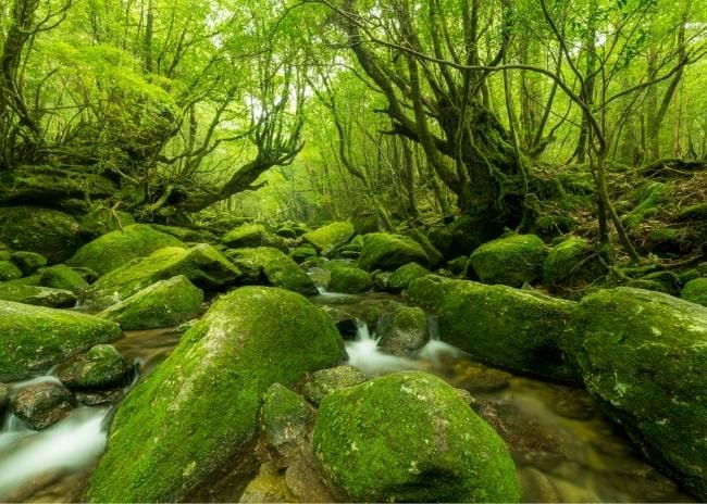 2種・3種混合タイプ