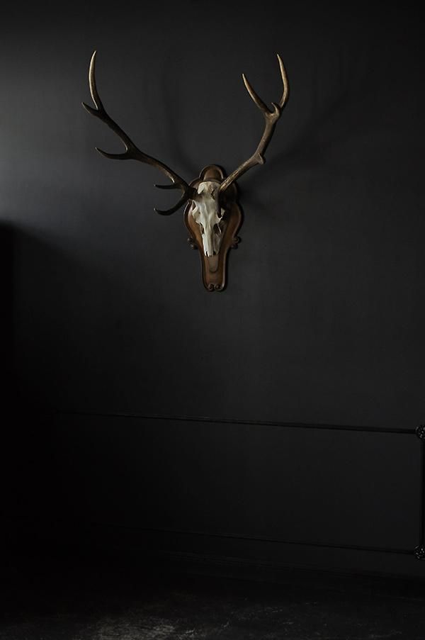 ハンティングトロフィー・アカシカ/フランスアンティーク雑貨 【Sibora】
