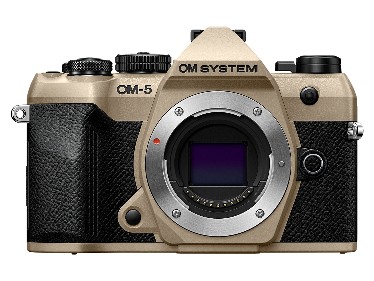 OMデジタルソリューションズ OM SYSTEM OM-5 Mark II ボディ 価格比較