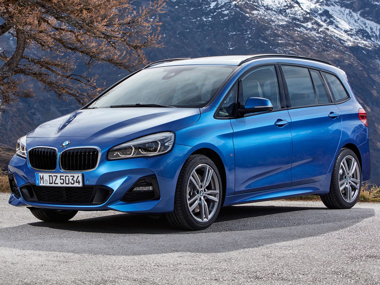 BMW 2シリーズ グランツアラー 2015年モデル 218i Gran Tourer M Sport