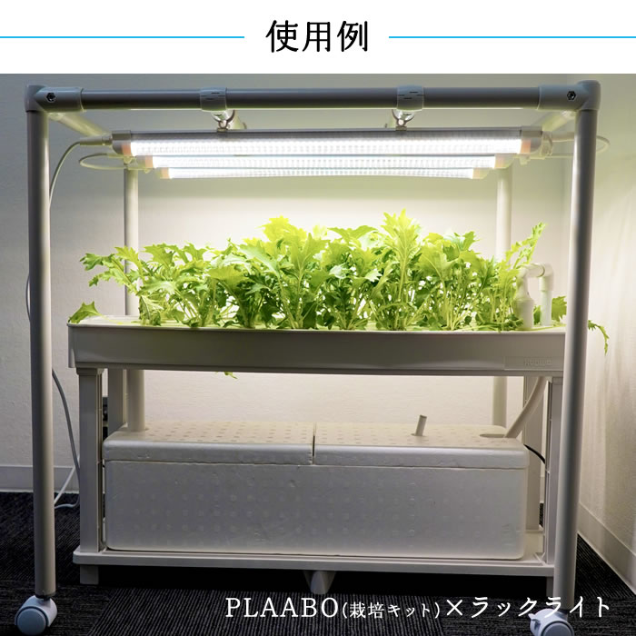 ラックライト 植物育成ライト おやさいライト付き - 水耕栽培専門店