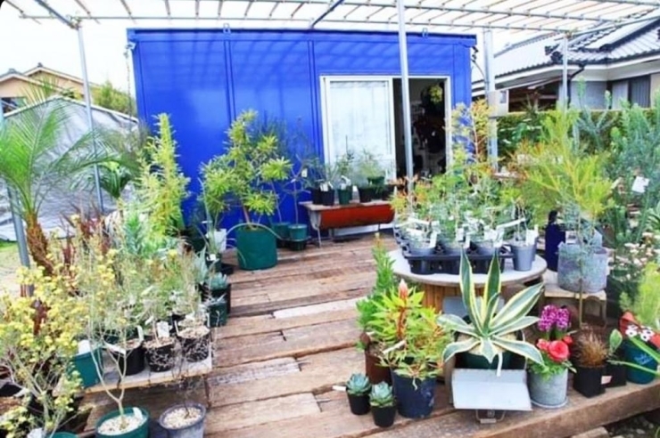 ガーデニングをもっと楽しく♪【姶良市】 | ～霧島姶良の新しいお店