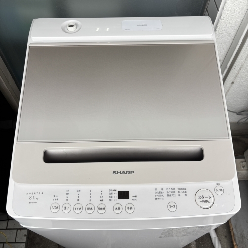2024年製シャープ全自動洗濯機ES-GV8J入荷！8kgインバーターでしっかり