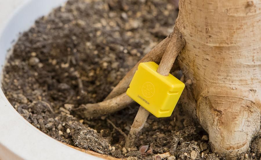 ミニロゴストロン（ネッテン） - EM life 宙（そら）・微生物と