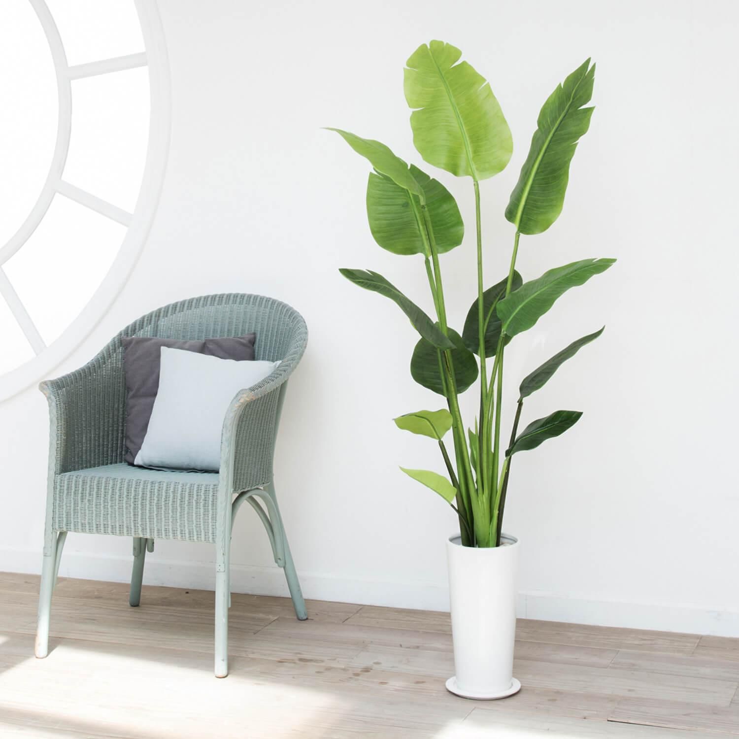 ストレリチアの観葉植物 フェイクグリーン | 造花専門店プリマ