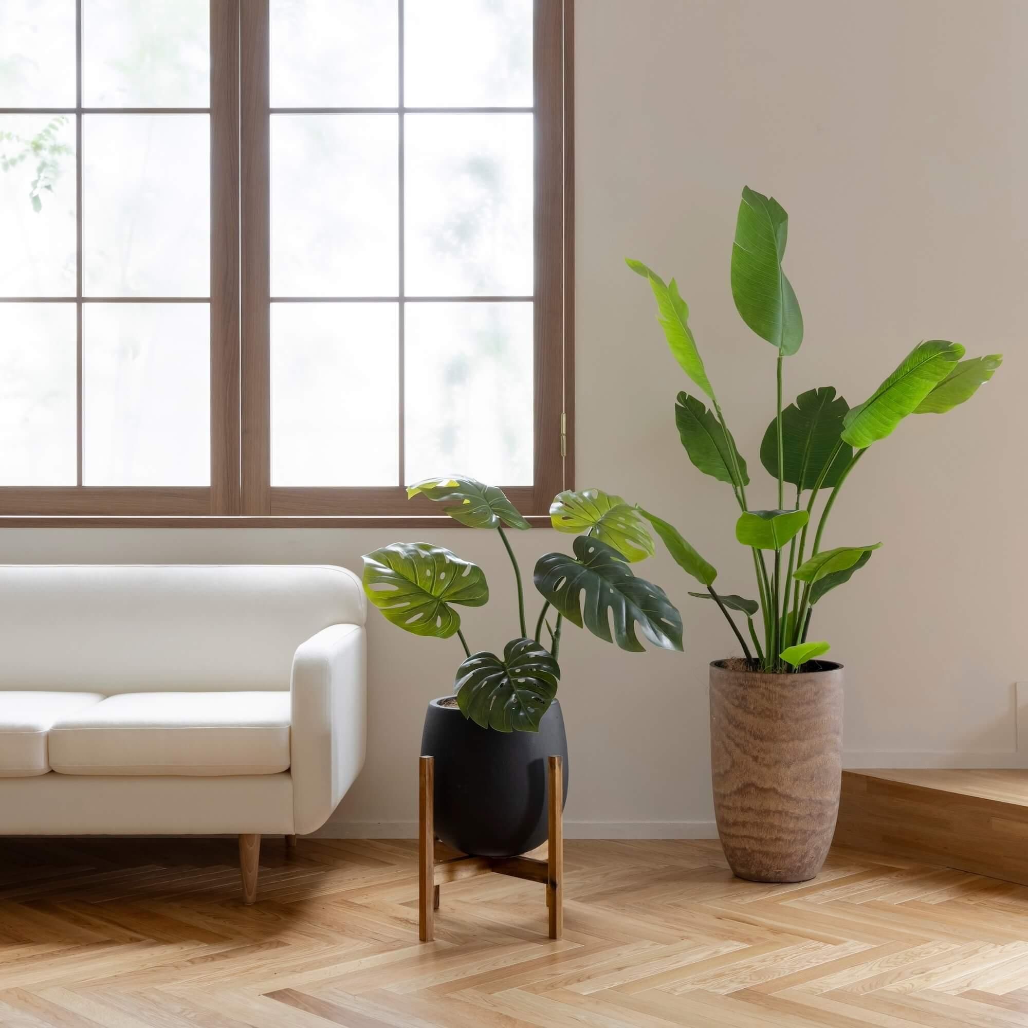 ストレリチアの観葉植物 フェイクグリーン | フェイクグリーン・造花