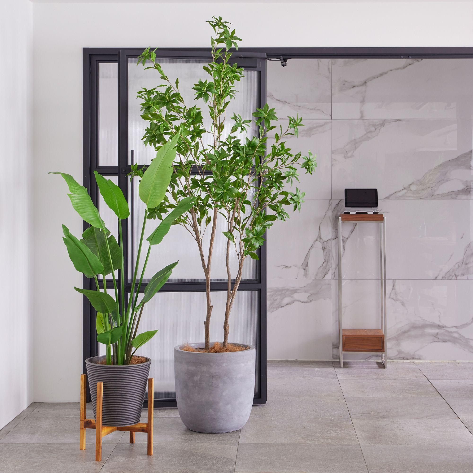 ストレリチアの観葉植物 フェイクグリーン | 造花専門店プリマ