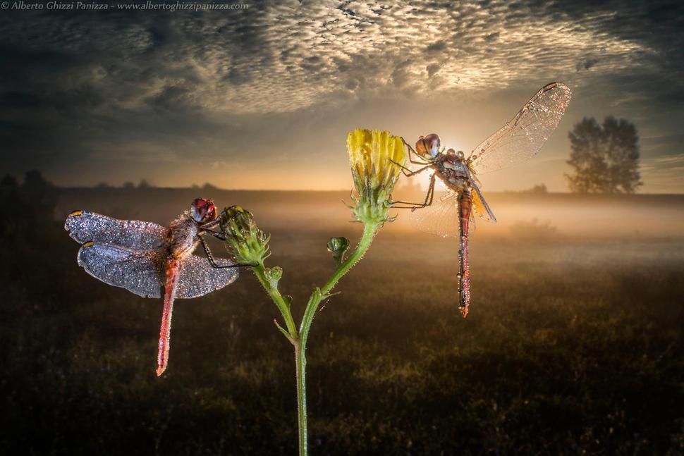 フルサイズ】寄って等倍、シフトもできる超広角LAOWA 15mm F4 WIDE