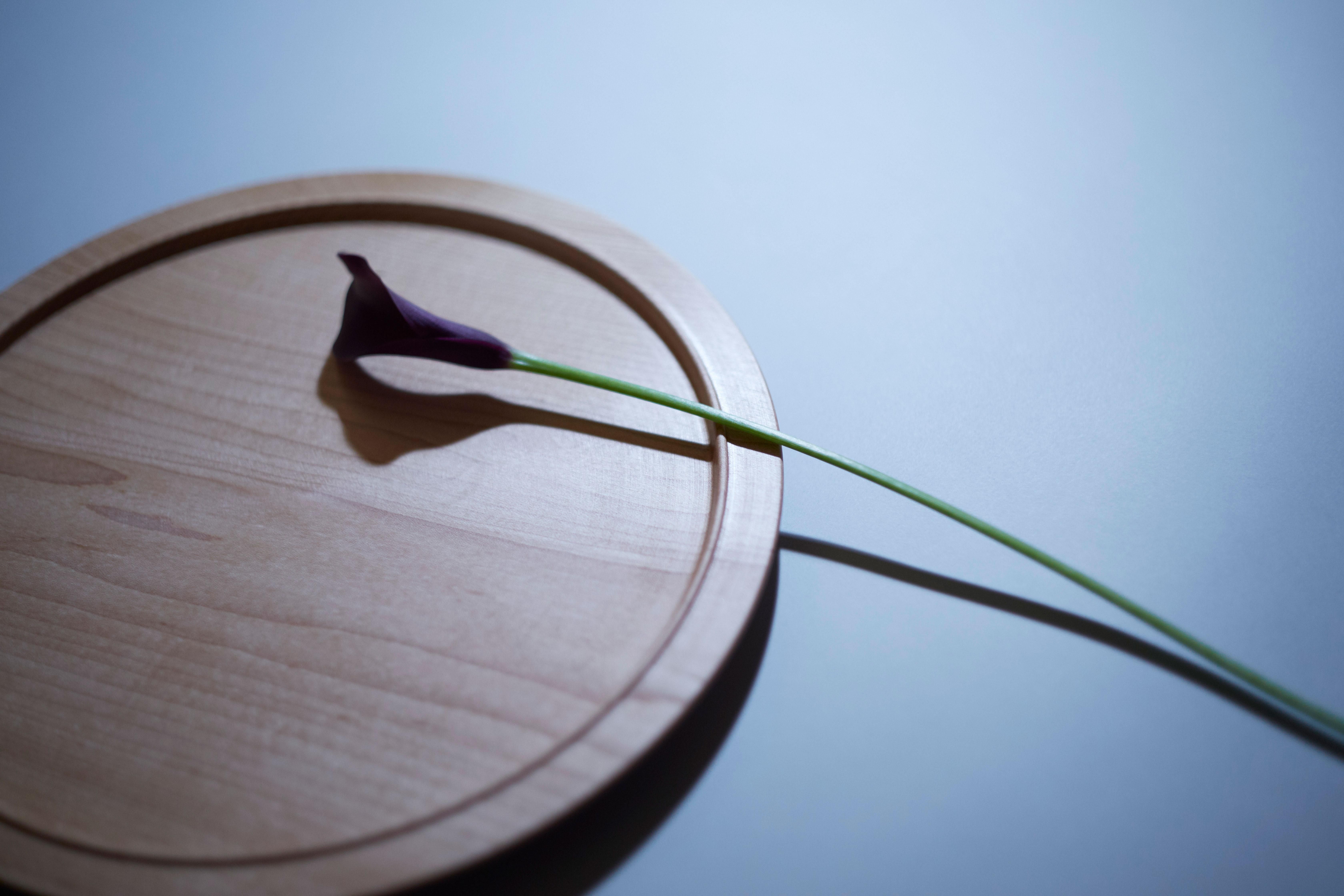 森夏未（木工） - mogana