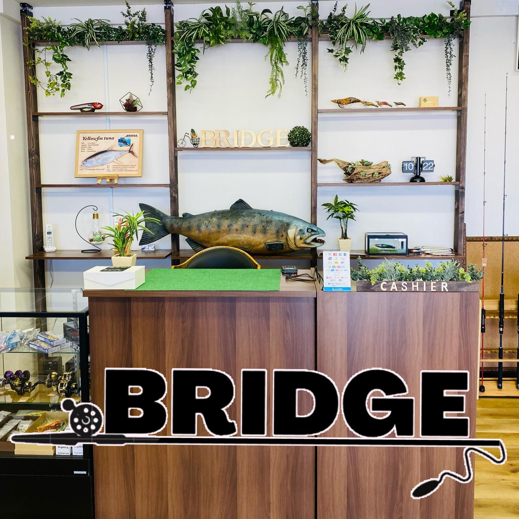 猛ポップ丸18F-MG/猛闘犬丸 - bridge20220401