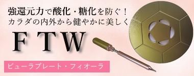 FTWプレートカバー(ベルト付き)/ネイビー｜ベルト付きで体に装着できる