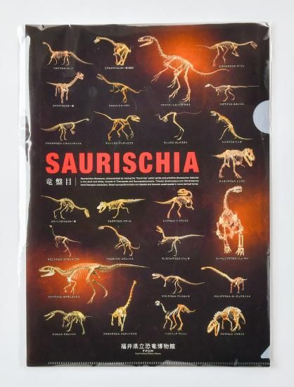 オリジナル 恐竜博物館 展示骨格 クリアファイル2枚組 (A4) - FPDM