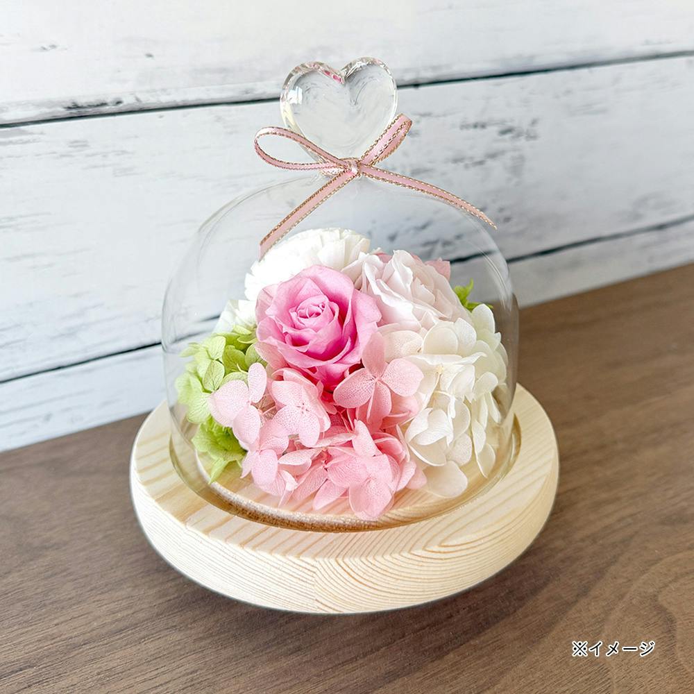 ハートガラスドーム ピンク | 花＆グリーン 通販 | ホームセンターの