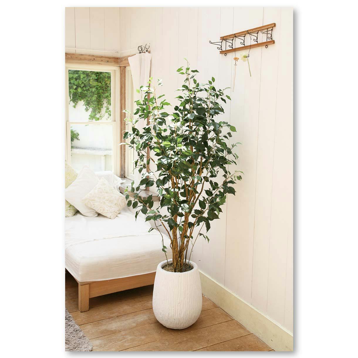 GREEN COFFRET ベンジャミン160cm 人工観葉植物 フェイクグリーン