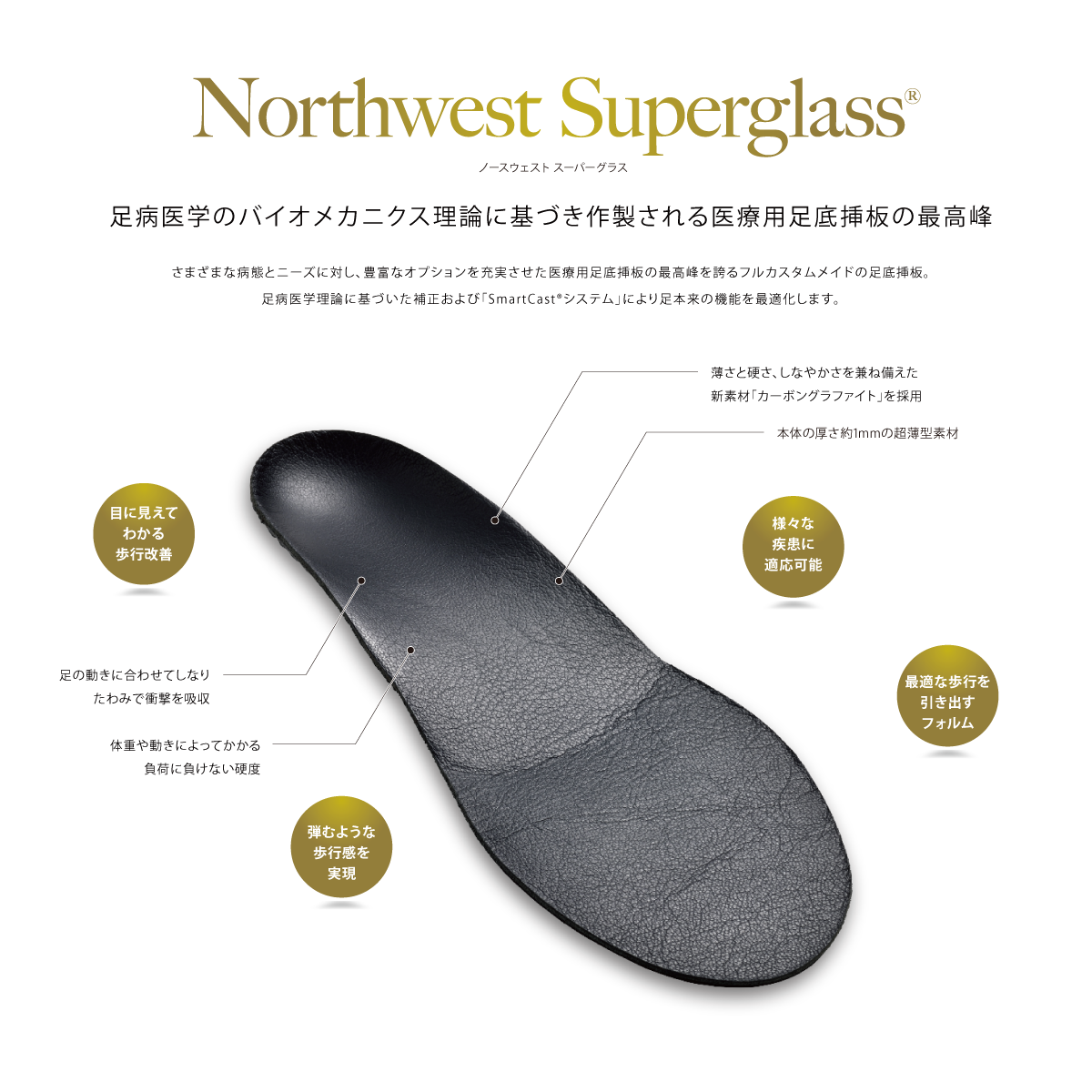 取扱Brand (Northwest Podiatric Lab. )