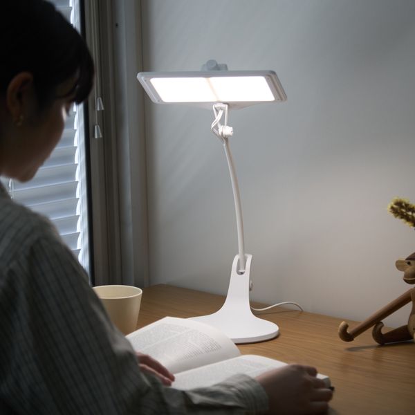 スタンドライト branch -自然素材の暖かみを感じる照明 - スタイルストア