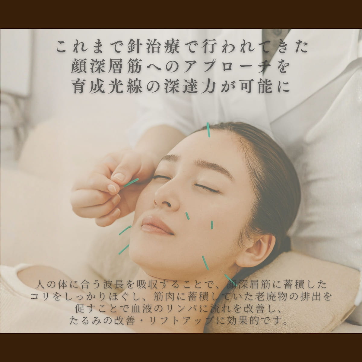 ヴェルテュエクシアイネディットクリーム 200g – EARTHWELL株式会社