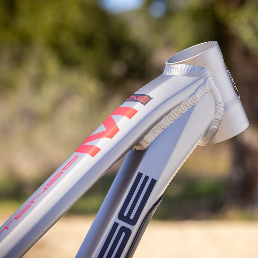 M1 Downhill Mountain Bike Frame – INTENSE LLC