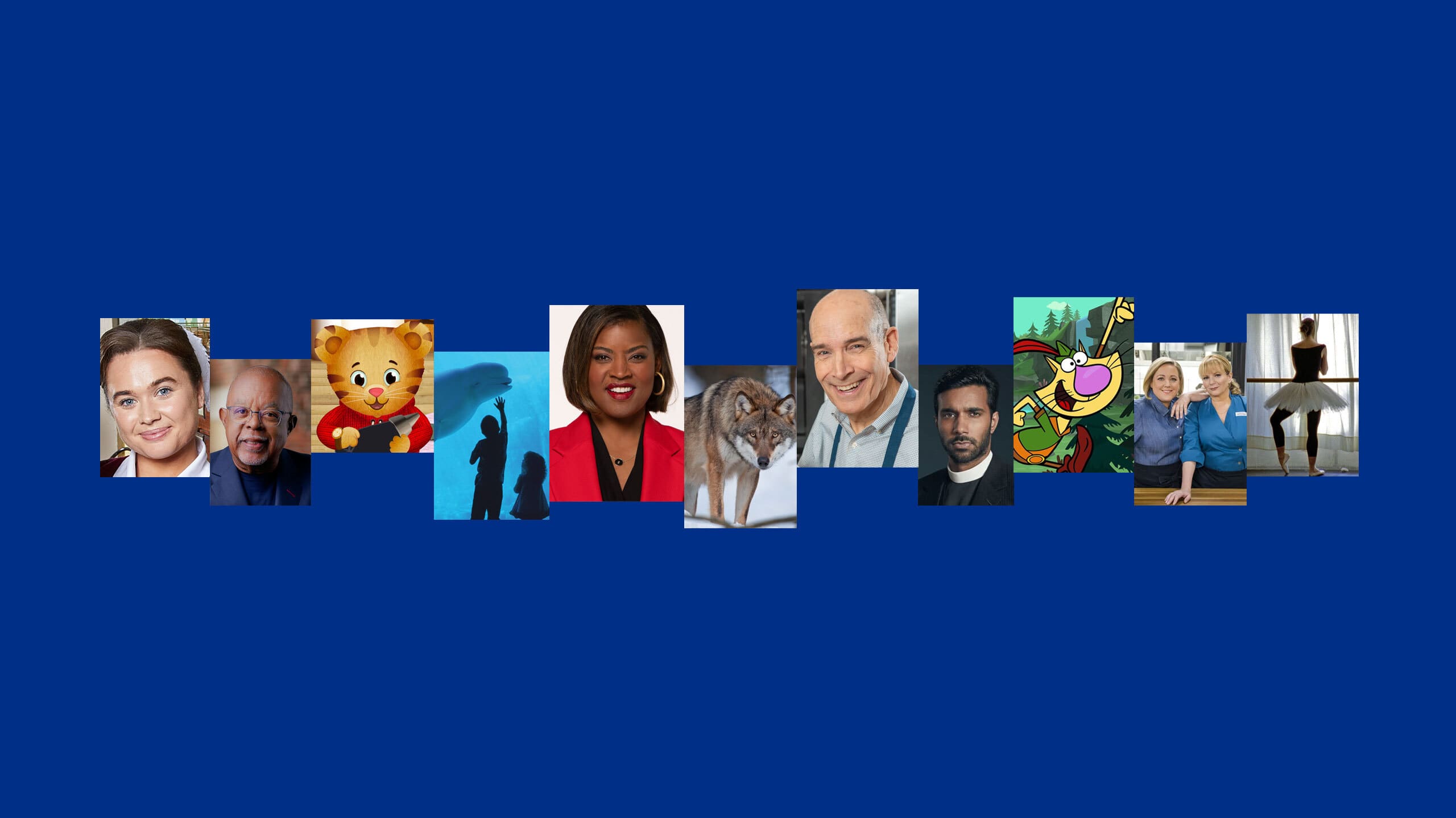 Rock, Pop & Doo Wop 7-DVD/2-CD Set - Pledge