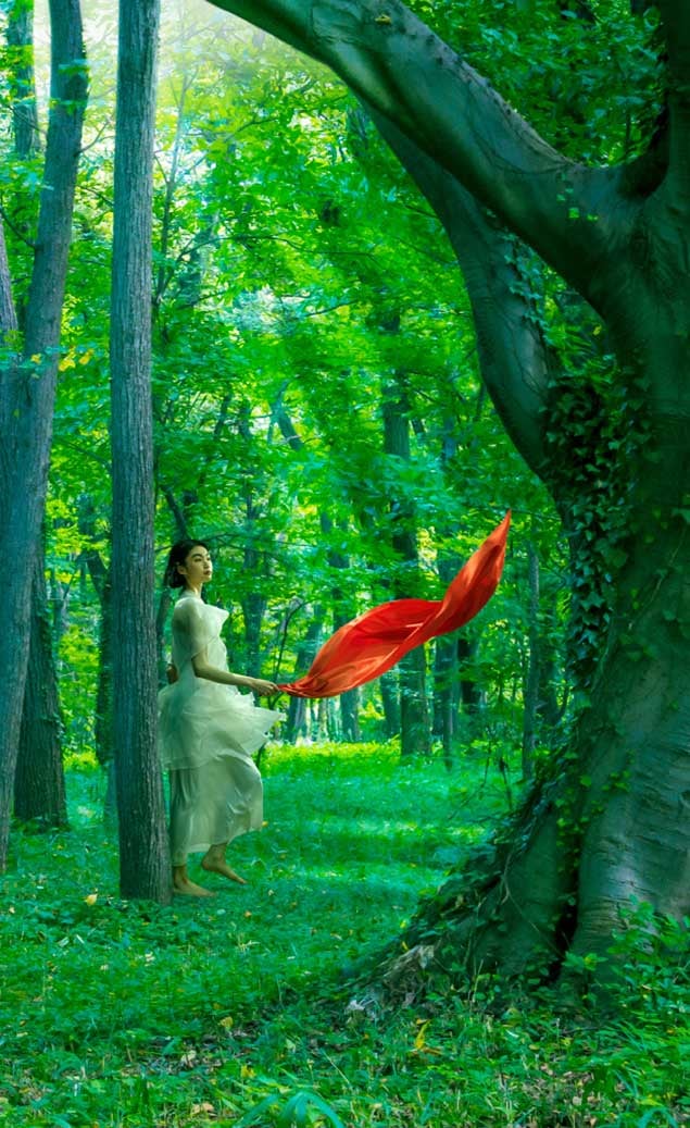 スランバーランド | 英国王室御用達の栄誉を受けたベッドマットブランド