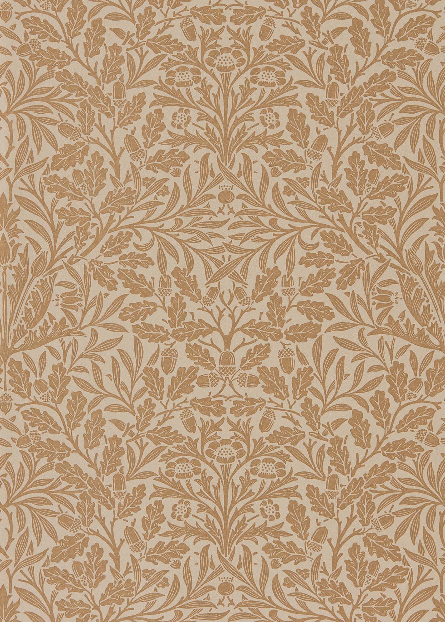 interior library - Pure Acorn 216041 PURE MORRIS