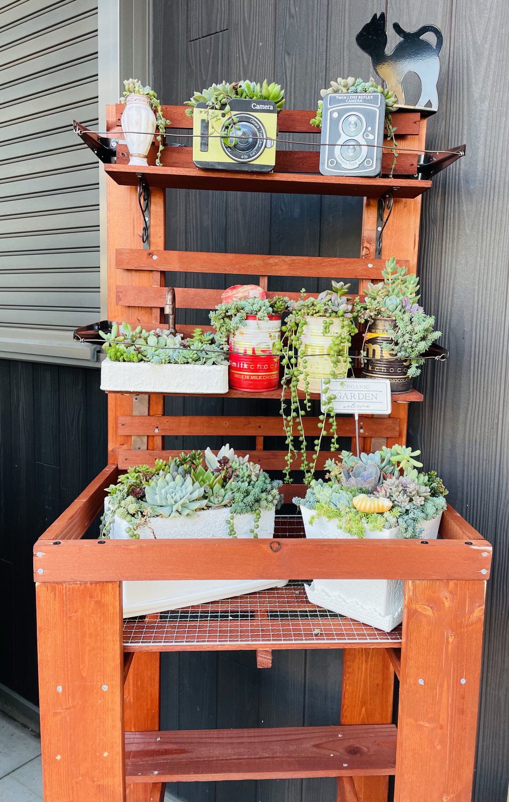 多肉植物の寄せ植えの飾り棚をDIY | Coo!ブログ