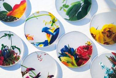 ikebana コースター 木箱入り4枚セット | toumei (Women