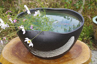 2018年11月2日 信楽焼 睡蓮鉢販売 新入荷商品の御紹介 | 石田精華園 園