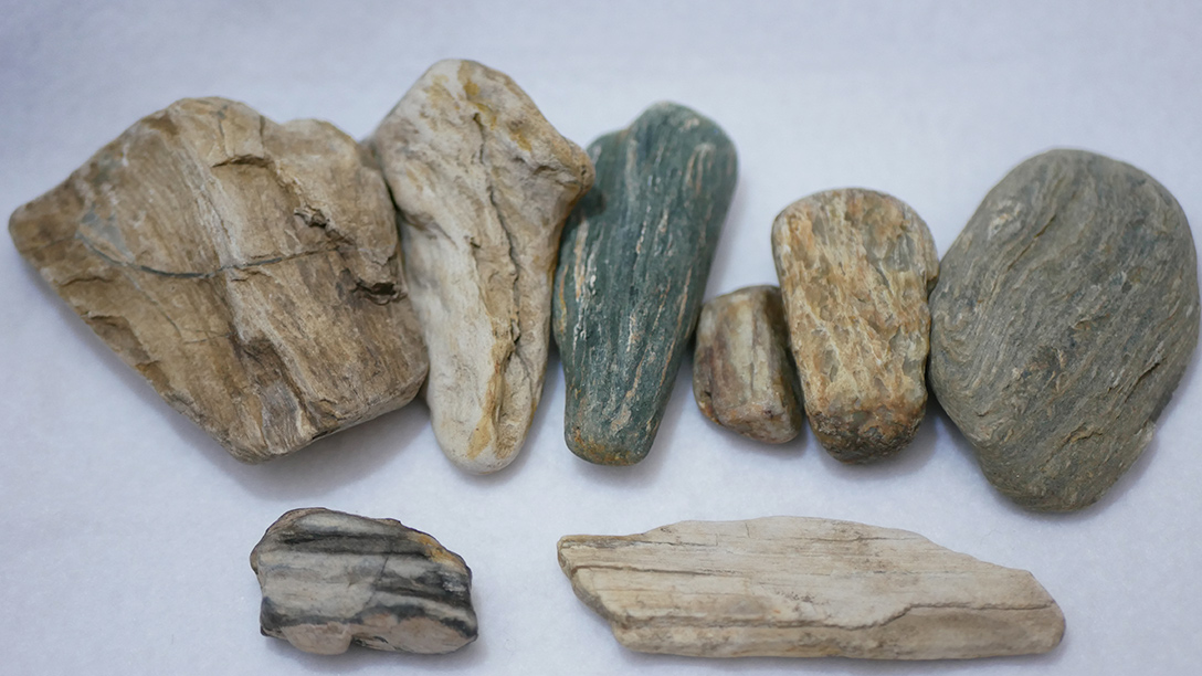 珪化木家族 我が家にある珪化木と珪化木らしき石たち | 石拾い 川・海