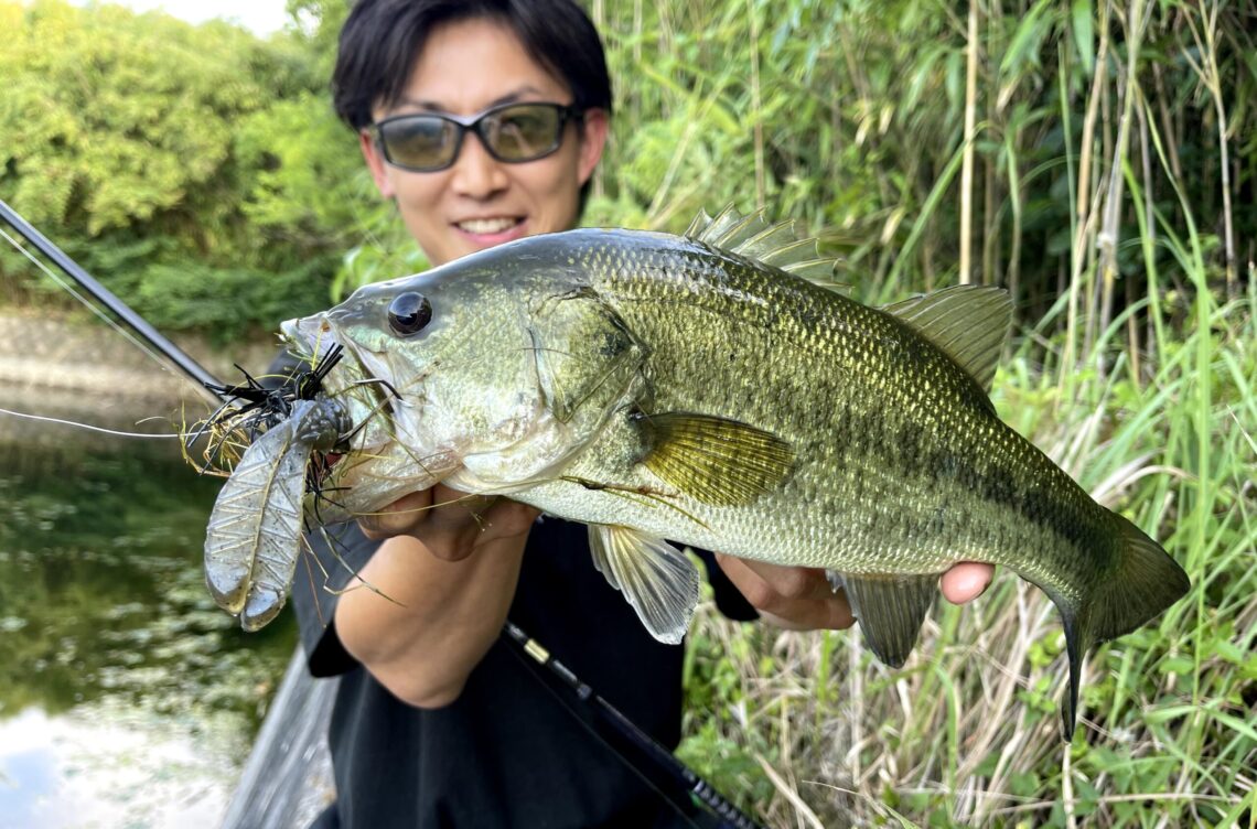 Green.Cray.fish | ISSEI TIMES（イッセイタイムズ）