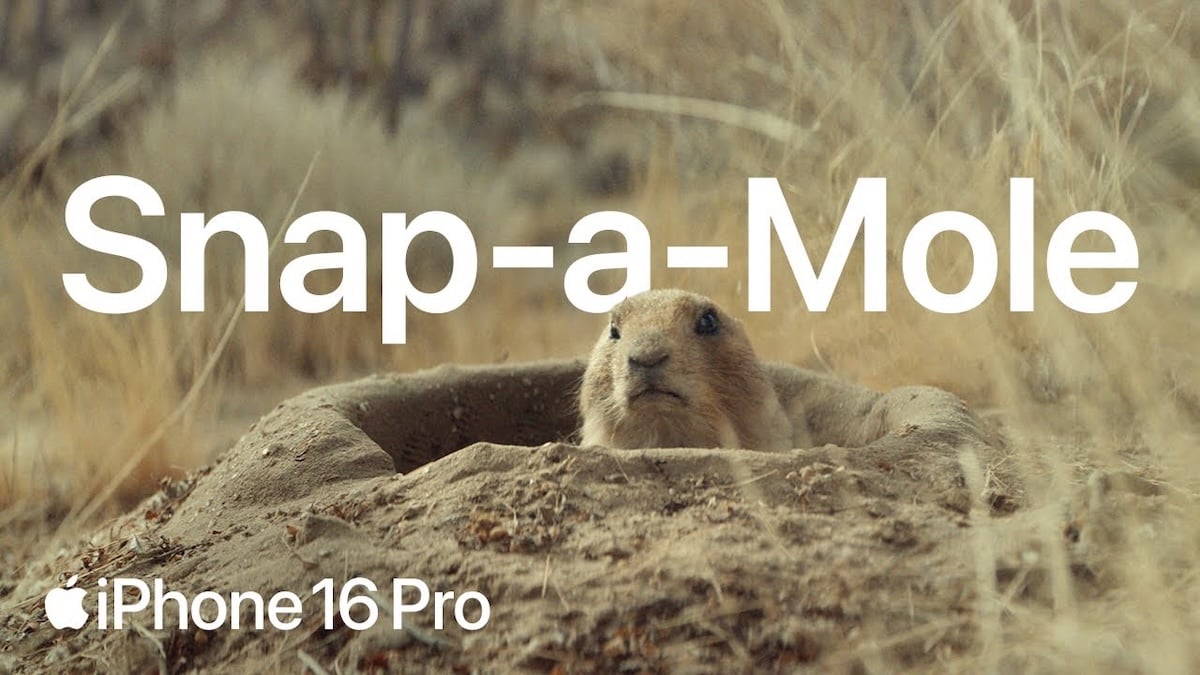 iPhone16 Proの新作CM公開！動物のひょっこり顔に癒される - iPhone Mania