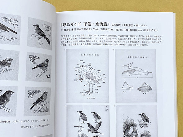 図録 幻の野鳥図鑑「原色野鳥ガイド」 | 美術・芸術書、写真集 | 事例