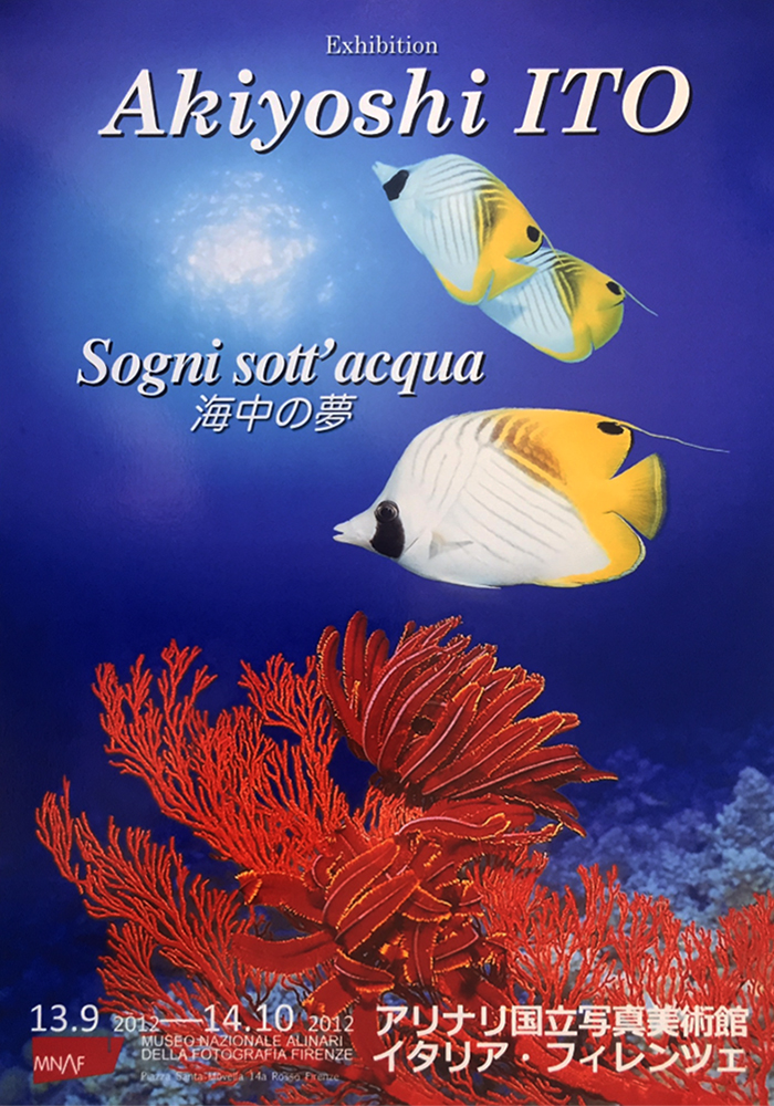 出展情報 | 伊東昭義