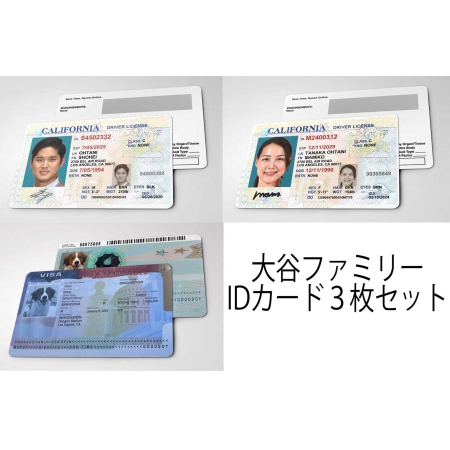 大谷ファミリー 3枚セット【 大谷翔平 田中真美子 デコピン