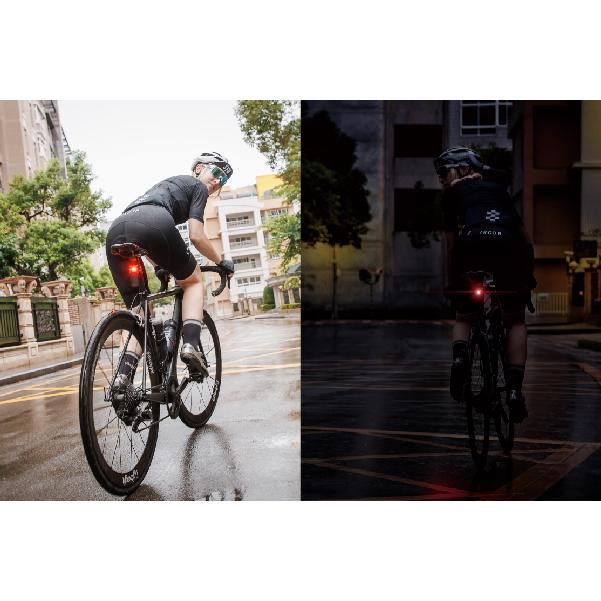 bryton（ブライトン） Bryton Gardia R300L ガーディア リアビュー