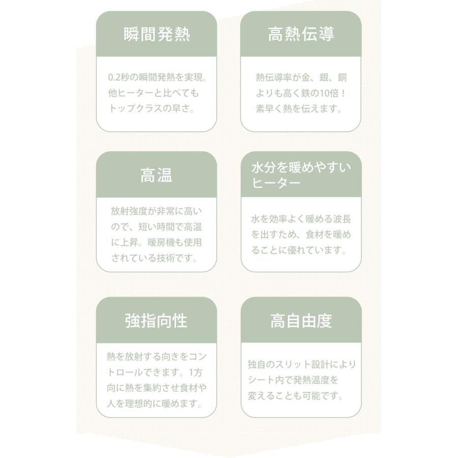 アラジン（Aladdin） [在庫処分]アラジン グラファイトグリラー 電気