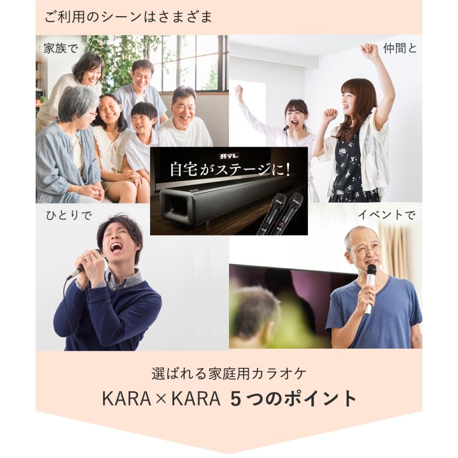 共同テレビジョン KARAxKARA（カラカラ）カラオケサウンドバー 家庭用