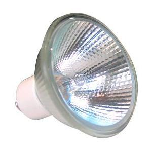 まとめ買い ウシオ USHIO ハロゲンランプ 径70 100W形 35度 10個