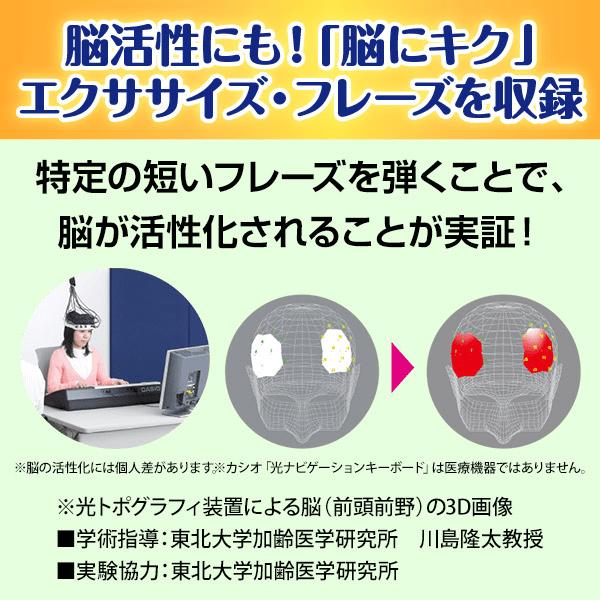 CASIO（カシオ） 楽らくキーボード LK-536 ユーキャンオリジナル CASIO