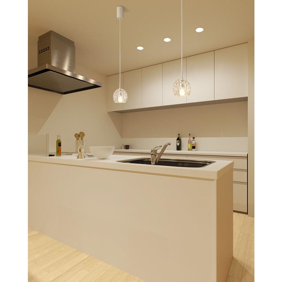 ODELIC（オーデリック） ペンダントライト LED 配線ダクトレール用