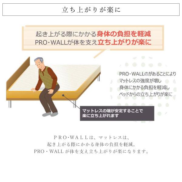 フランスベッド（FRANCEBED） 開梱設置付き LT-5500 α PW シングル