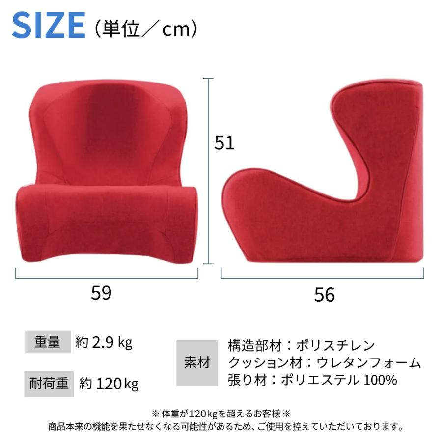 Style（スタイル） 姿勢サポートチェア MTG ドクターチェア Style Dr