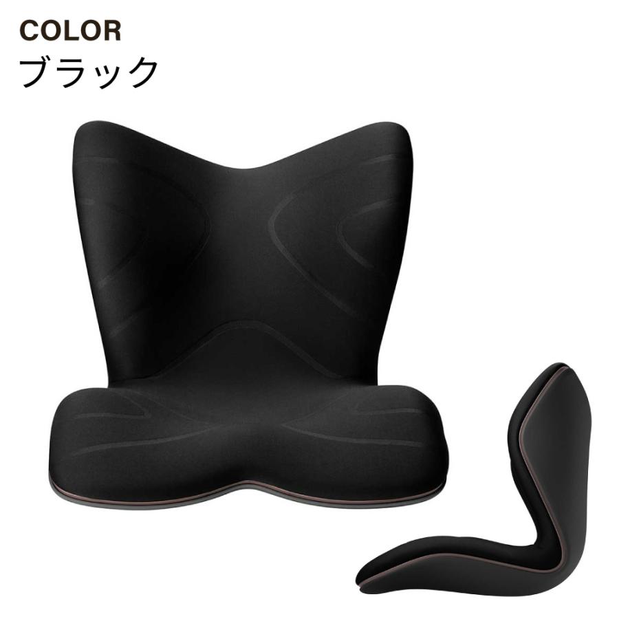 Style（スタイル） 姿勢 サポートチェア MTG スタイルプレミアム Style